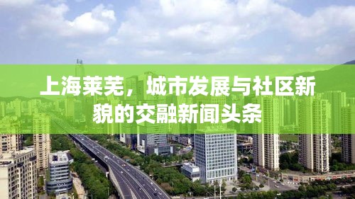 上海萊蕪，城市發(fā)展與社區(qū)新貌的交融新聞頭條