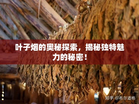 葉子煙的奧秘探索，揭秘獨特魅力的秘密！
