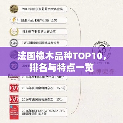 法國橡木品種TOP10，排名與特點一覽
