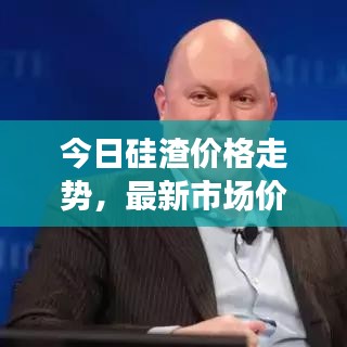 今日硅渣價格走勢，最新市場價格分析與預(yù)測