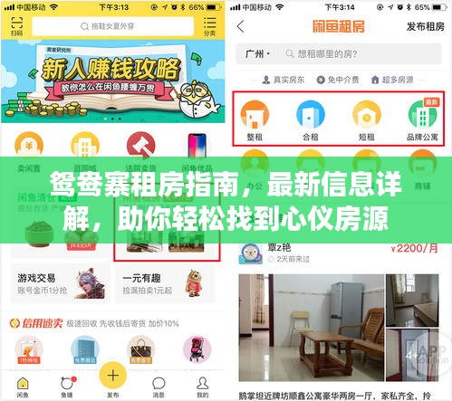 鴛鴦?wù)夥恐改?，最新信息詳解，助你輕松找到心儀房源