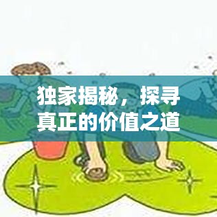 獨家揭秘，探尋真正的價值之道