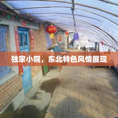 獨(dú)家小院，東北特色風(fēng)情展現(xiàn)