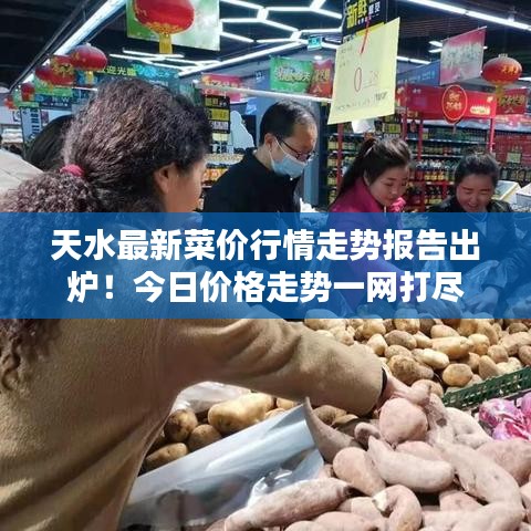 天水最新菜價(jià)行情走勢報(bào)告出爐！今日價(jià)格走勢一網(wǎng)打盡