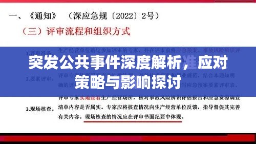 突發(fā)公共事件深度解析，應(yīng)對(duì)策略與影響探討