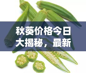 秋葵價(jià)格今日大揭秘，最新行情一網(wǎng)打盡