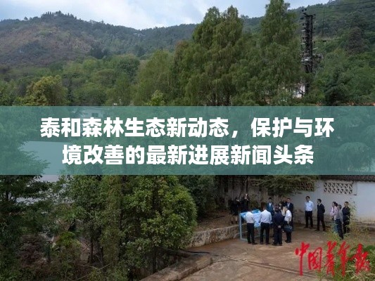 泰和森林生態(tài)新動態(tài)，保護與環(huán)境改善的最新進展新聞頭條