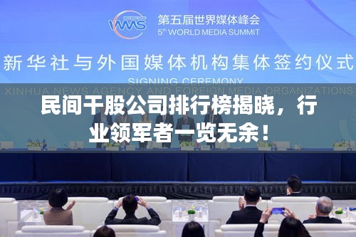民間干股公司排行榜揭曉，行業(yè)領(lǐng)軍者一覽無余！