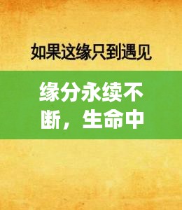 緣分永續(xù)不斷，生命中的奇妙相遇與心靈連結(jié)