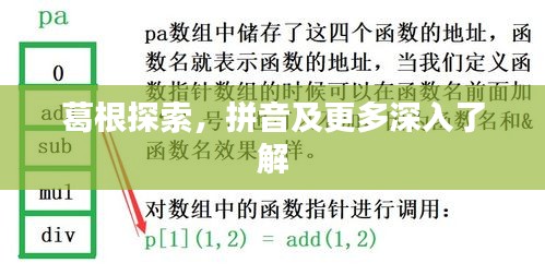 葛根探索，拼音及更多深入了解