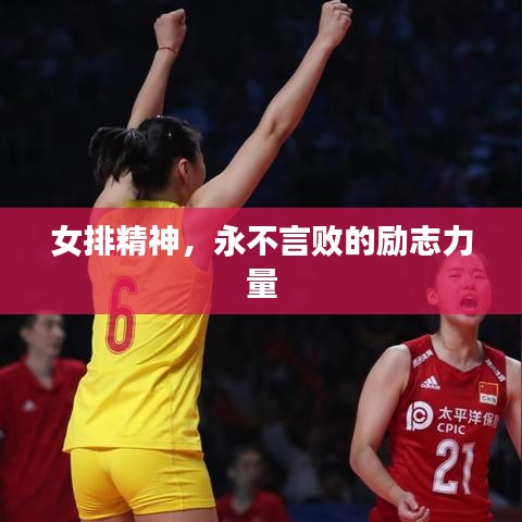女排精神，永不言敗的勵(lì)志力量