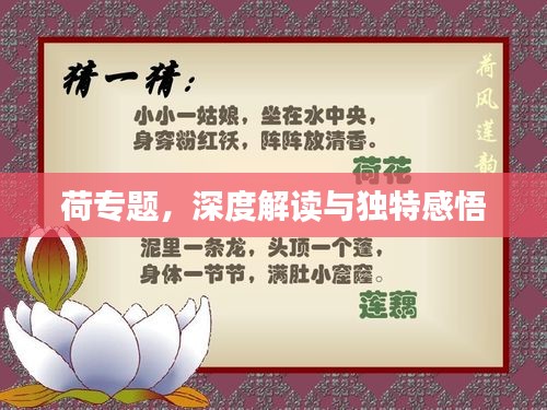 荷專題，深度解讀與獨(dú)特感悟