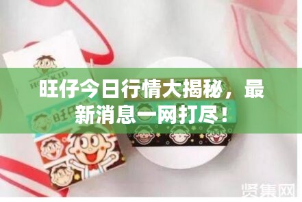 旺仔今日行情大揭秘，最新消息一網(wǎng)打盡！