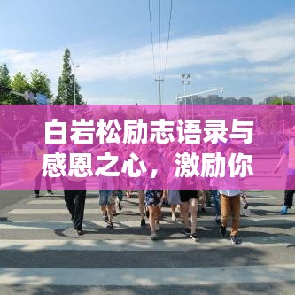 白巖松勵(lì)志語錄與感恩之心，激勵(lì)你前行的力量之源